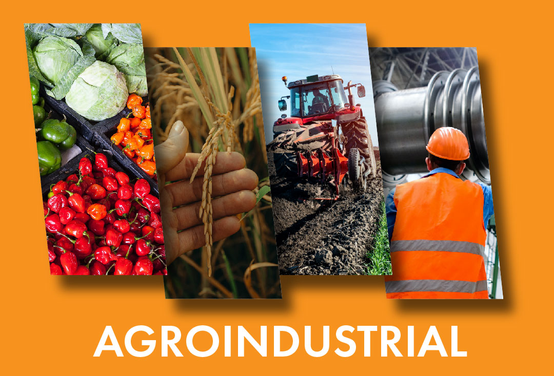 Sector agroindustrial - Miranda Produce